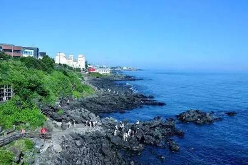 阳阳花霞，流水的人