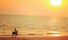 穿梭茫海，只为遇见你