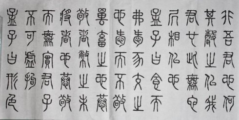 万丈掌上