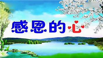感恩的心是最美丽的
