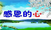 感恩之心最美