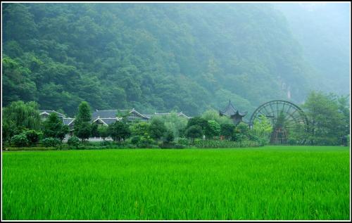 野外小场景