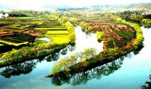 春天住在我的村庄