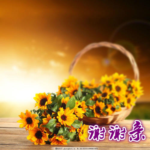 读史书怀