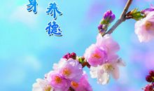 廉政之花处处开