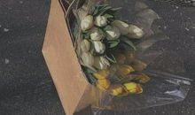 如果人类没有了