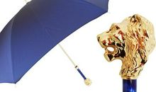 那把蓝色的雨伞下