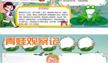 观察青蛙日记