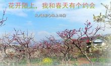 我和春天有个约定