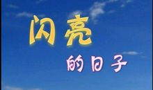 那些闪亮的日子