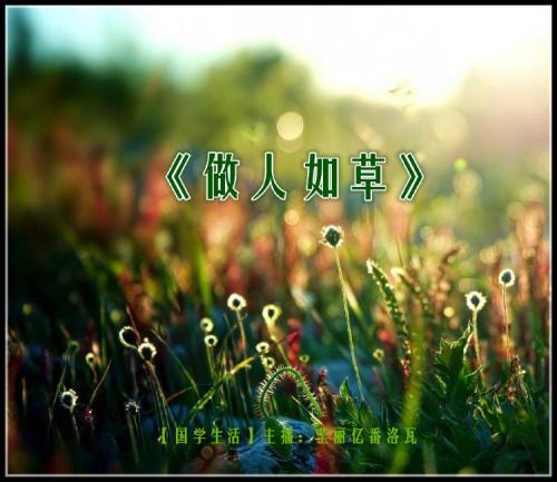 变色加剧