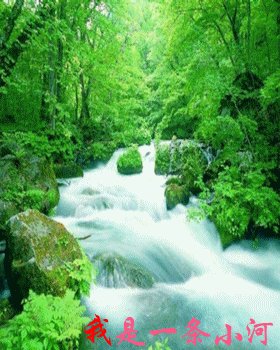 我是一条小河