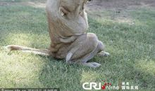 有种信念叫顽强