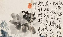 盖世神功的老妈