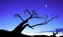 时间易逝且珍惜