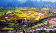 我的家乡新田东门江