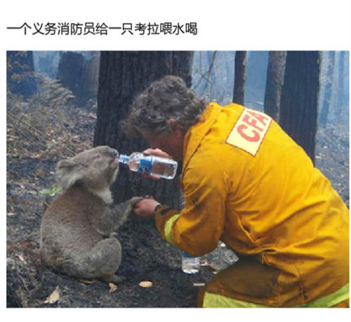 温暖的时刻