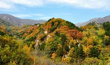 秋游南门山_700字