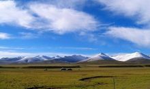 美丽西藏大草原