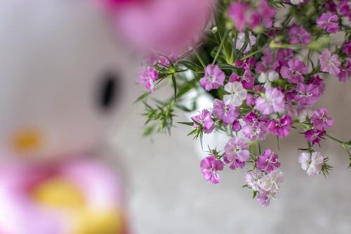 花幸福