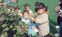 我和春天说悄悄话