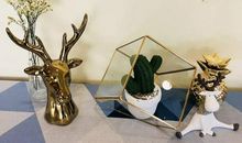 校园之美美在心灵