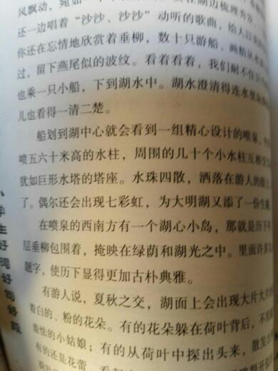 描述湖泊的成分