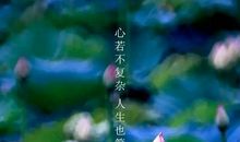 生活复杂又不复杂