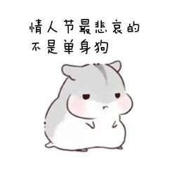 一只狗的悲伤