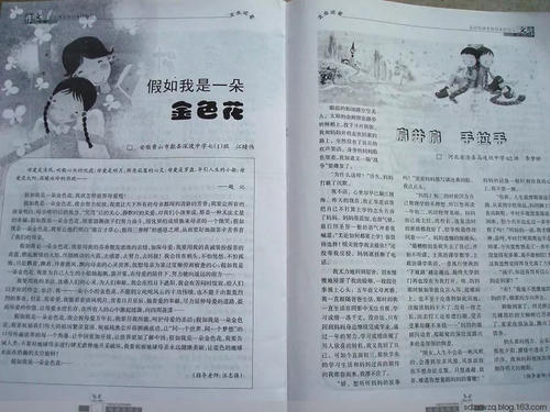 如果我是母亲