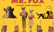 了不起的狐狸爸爸读后感