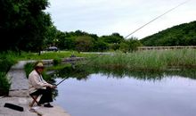 如果我是一条河