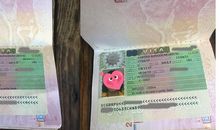 我的英国游总结篇