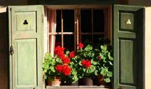 为别人的心房画上一扇窗