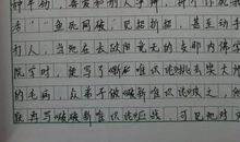 我爱学校的作文