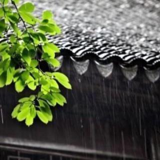 阅读文章