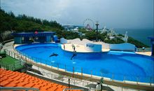 香港海洋公园之旅