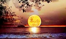 花好月圆中秋夜