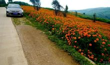 笑声荡漾的童年