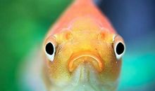 原是寻常最动人