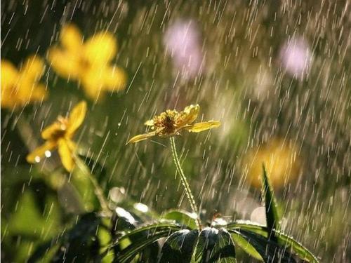 夏天下雨