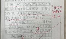 3年级作文那次玩的真高兴