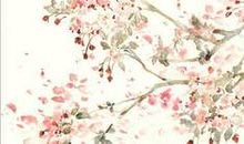 落花触动我的心