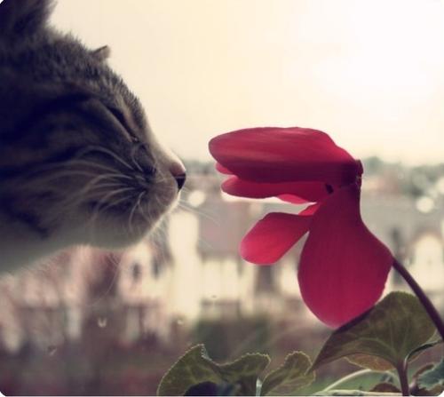 夏日的夜晚让我陶醉