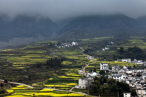 美丽的乡村风光