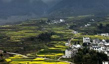 美丽的乡村风光