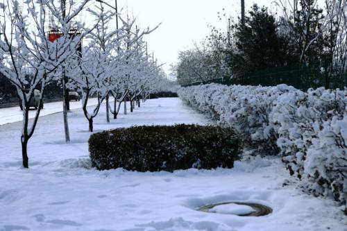 太原雪
