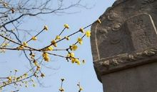 寻找幸福的旅程