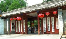 我家门前的大樟树