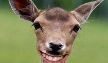 遇到挫折，笑对痛苦